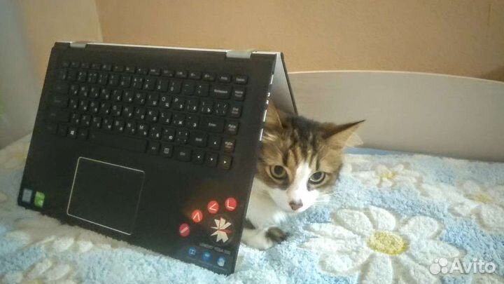 Ноутбук трансформер сенсорный