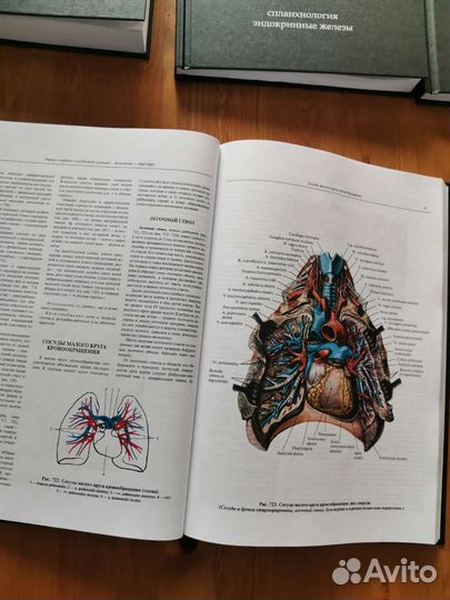 Анатомия человека Синельников 4 тома