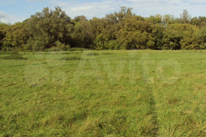 Участок 61 сот. (ИЖС)