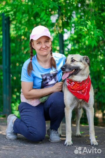 Собака Валя в поисках лучшей семьи