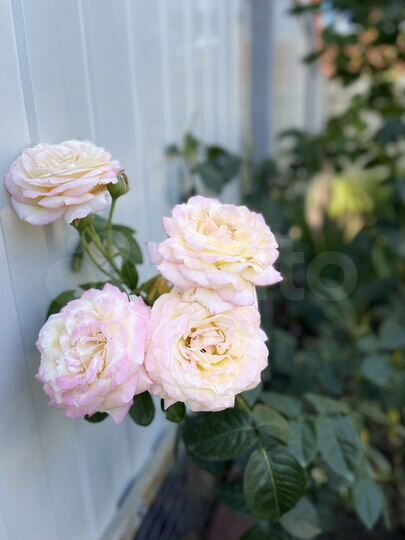 Дом 115 м² на участке 3 сот.