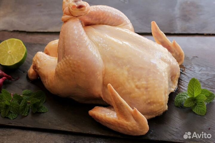 Домашнее мясо кур бройлеров