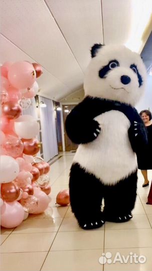 Черно белая панда