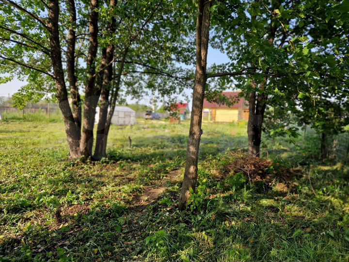 Дом 53 м² на участке 16 сот.