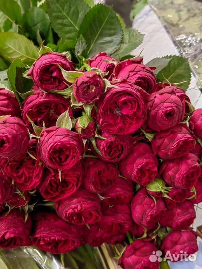 Живые цветы букеты