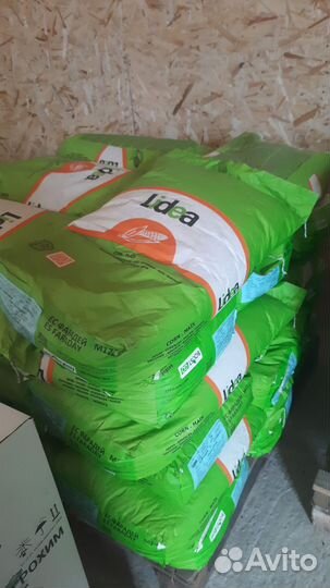 Семена кукурузы