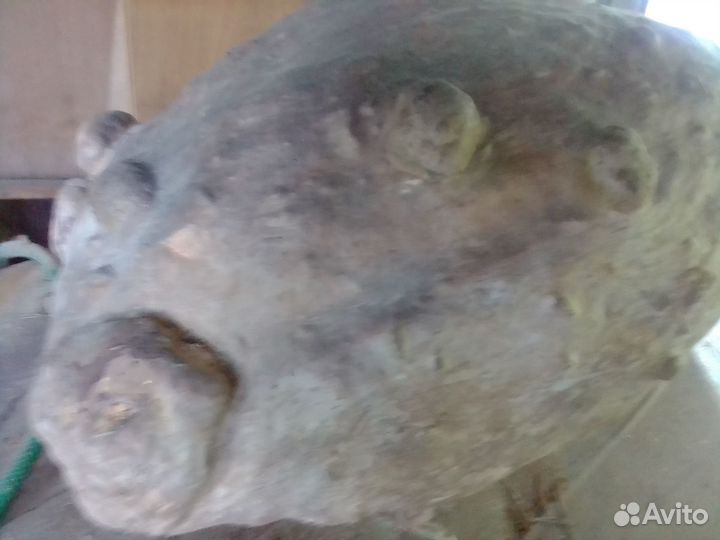 Кап березовый