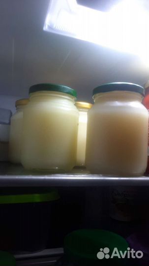 Барсучий жир от охотника