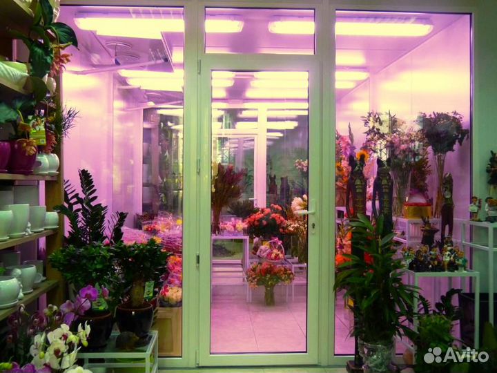 Цветочная холодильная камера