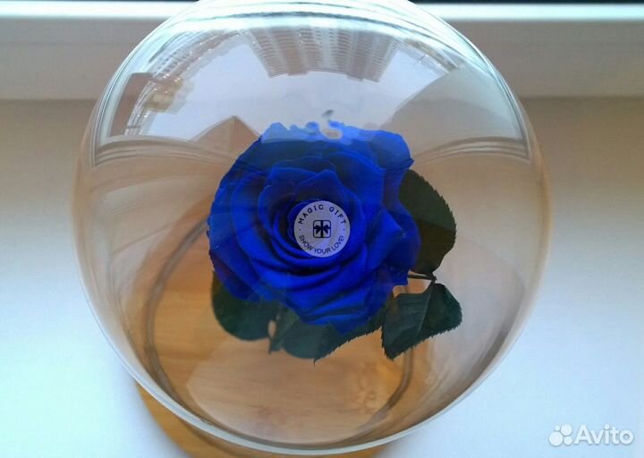 Роза в колбе. Размер на выбор