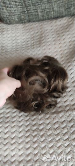 Хвост шиньон на резинке