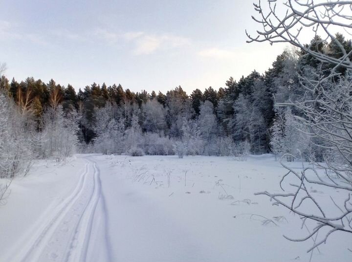 Участок 1,3 га (СНТ, ДНП)