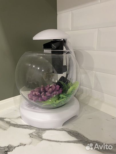 Аквариум шар с фильтром и светом