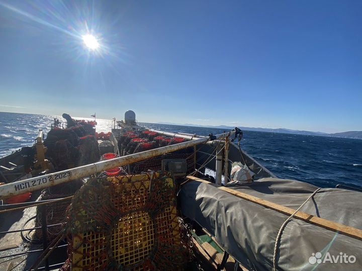 Помощь в оформлении документов