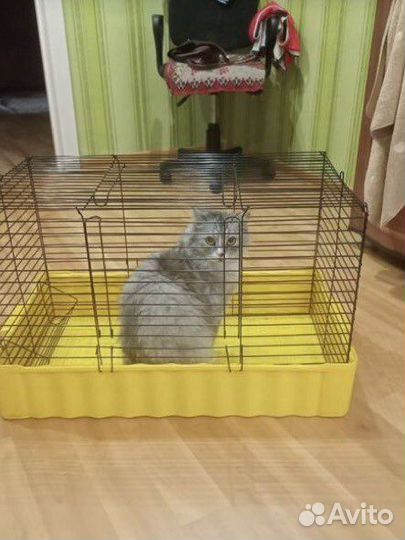 Клетка для грызунов