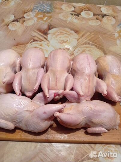 Мясо перепелов