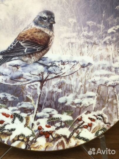 Тарелка фарфоровая, коллекционная