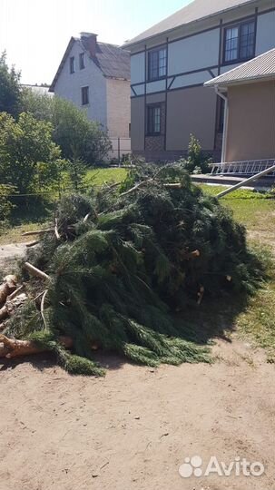 Вывоз мусора хлама,старой бытовой техники