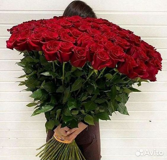 Розы Высокие Розы Гиганты Доставка Москва