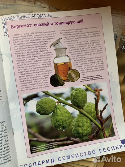 Коллекция журнолов о парфюме