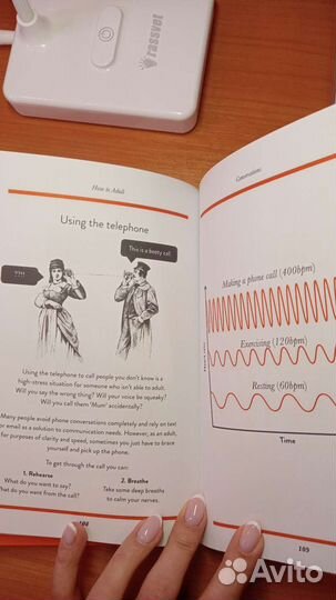 Книга на английском How to adult Wildish Stephen