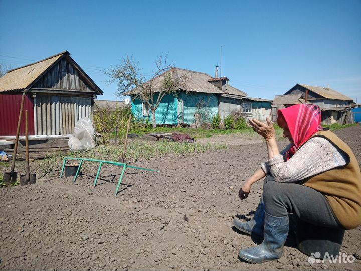 Продам картофель домашний