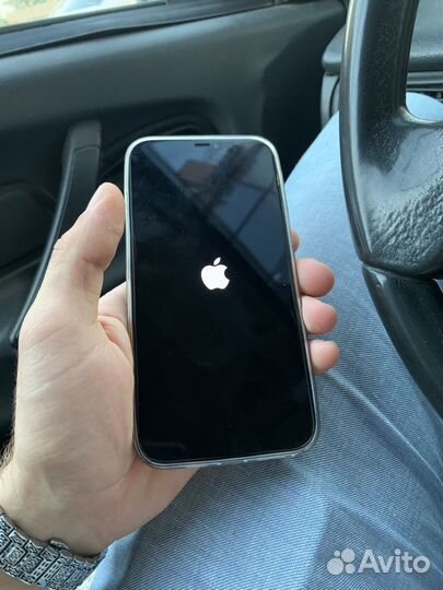 iPhone 12 Pro Max, 256 ГБ