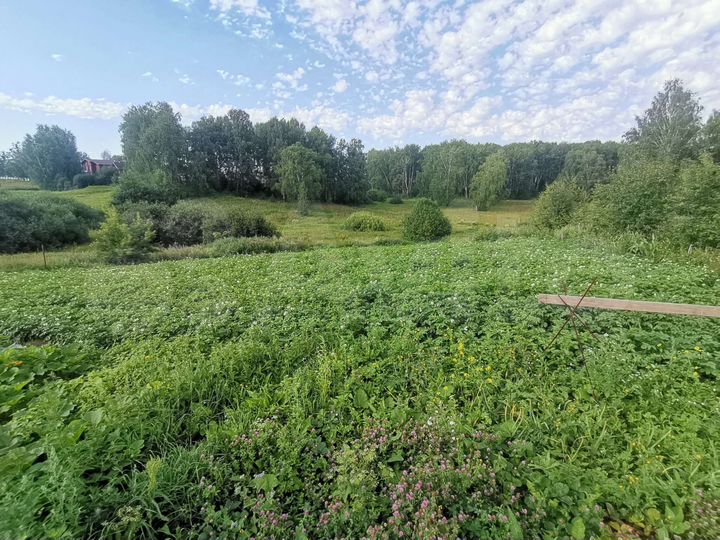 Дом 45 м² на участке 40 сот.