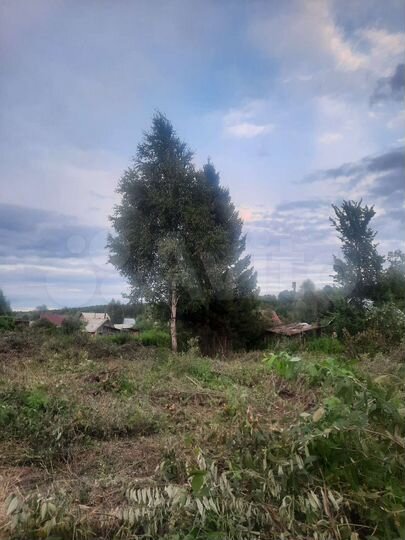 Участок 12 сот. (СНТ, ДНП)