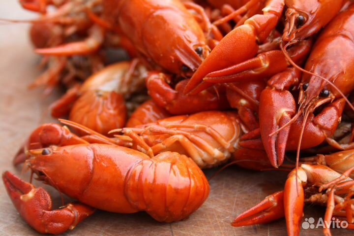Доставка раков Севастополь, Ялта, Симферополь