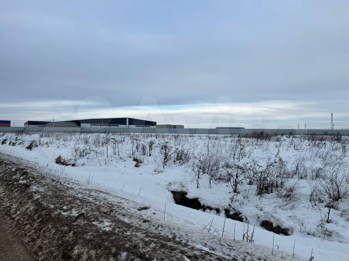 Участок 31,3 сот. (промназначения)