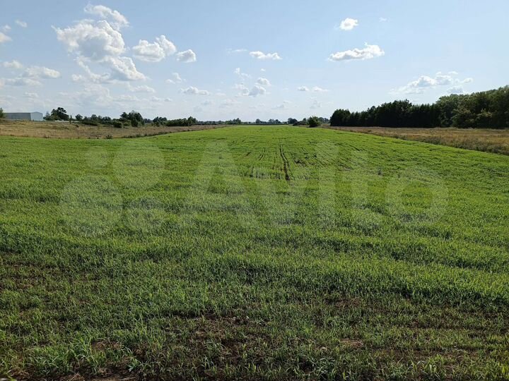 Участок 2 га (ИЖС)