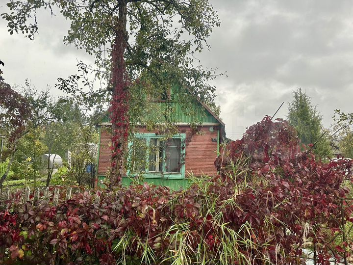 Участок 5,9 сот. (СНТ, ДНП)