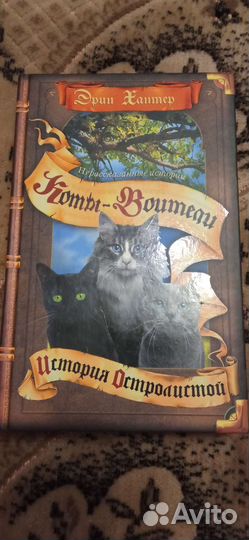 Коты воители