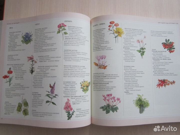 Книга советов для сада