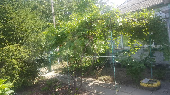 Дача 50 м² на участке 21 сот.