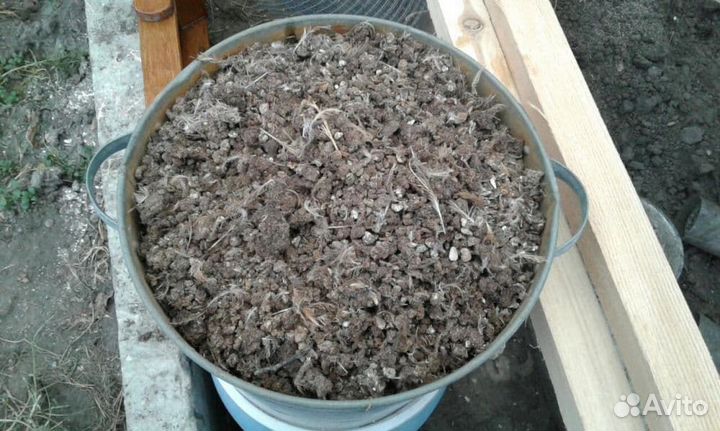 Перепелиный помет