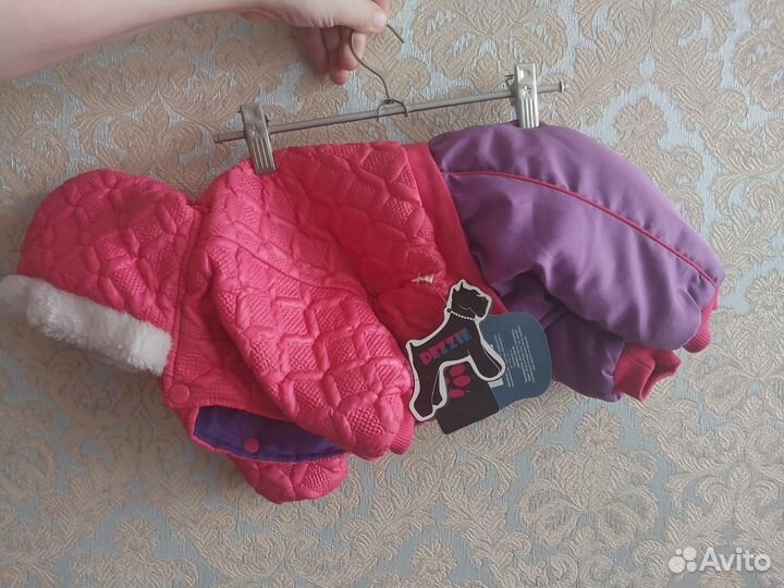 Одежда для маленьких собак