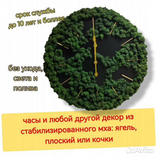 Стабилизированный мох ягель, часы из мха, декор от