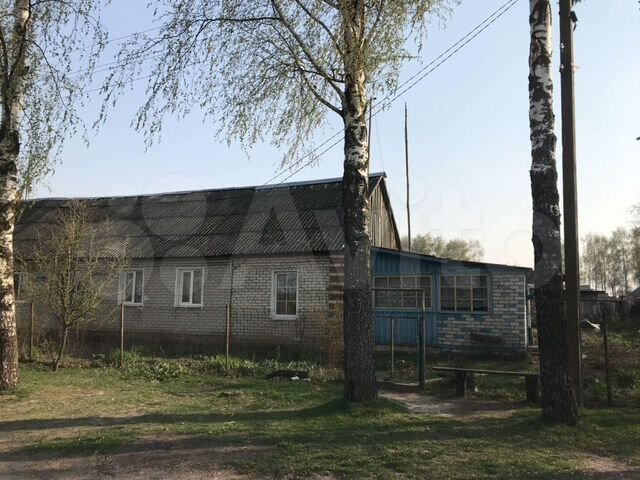 ржаница брянская обл ул лесная. брянская область село ржаницы. поселок ржаница брянской области. село ржаница жуковский район школа. за.