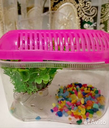 Переноска для рептилий