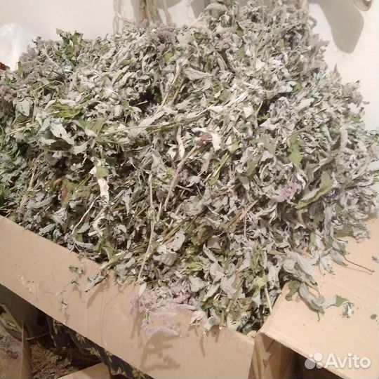 Мята, шиповник