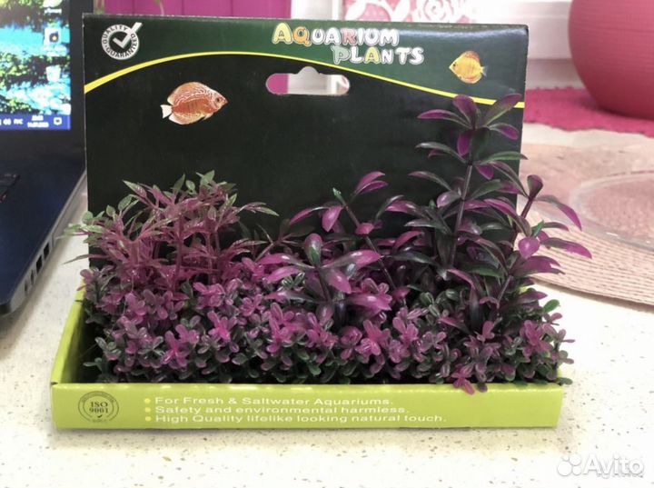 Искусственное растение