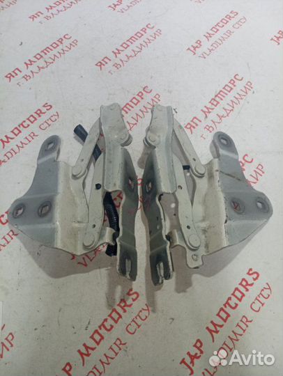 Петля капота передняя Bmw X1 E84 N20B20A 2011