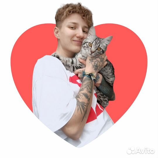 Передержка домашних животных