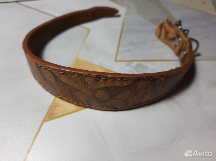 Ошейник для маленьких собак