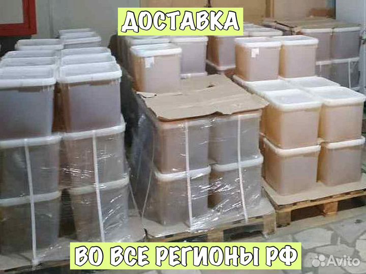 Мёд оптом от Алтайских пчёл