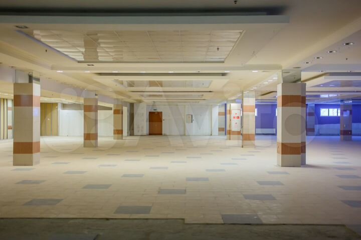 Крупный продовольственный магазин у метро 2000 м