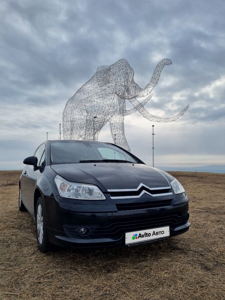 Citroen C4: фото владельца