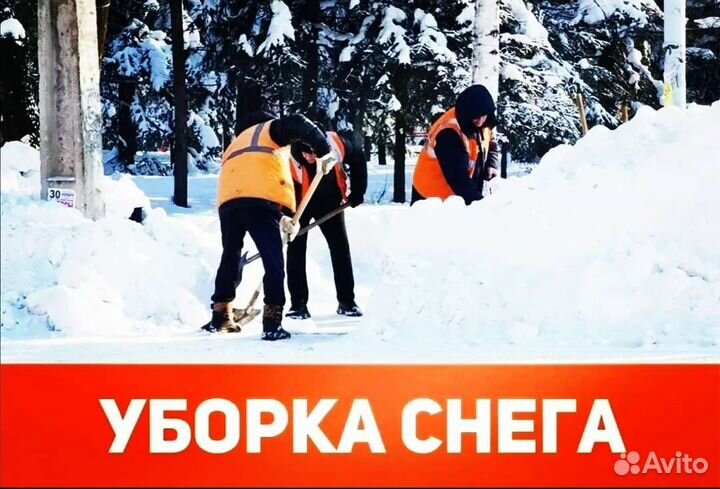 Разнорабочие